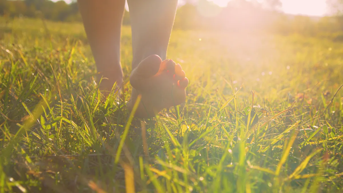 Bare feet walking on sunlit grass, the free version of grounding